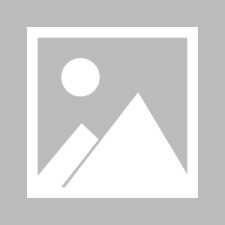 九游登录入口-哈兰德打入欧冠第50球